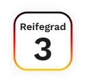 OZG Reifegrad 3 Bild